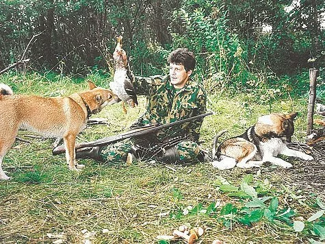 Опыт нахаживания молодой лайки
